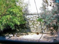 183 D21 SANARY SUR MER 1_000039